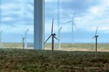 Molinos en un predio de energía eólica. 
